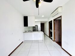 Palm Isles (D17), Condominium #590863061